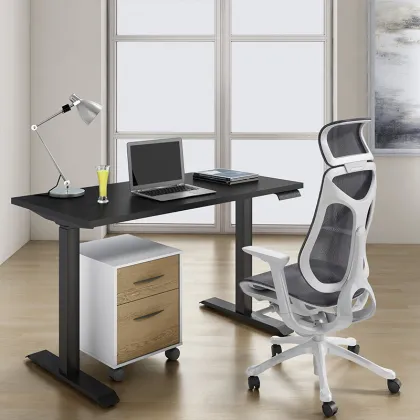 Electric Height Adjustable Autonomous Home and Office Computer Desk