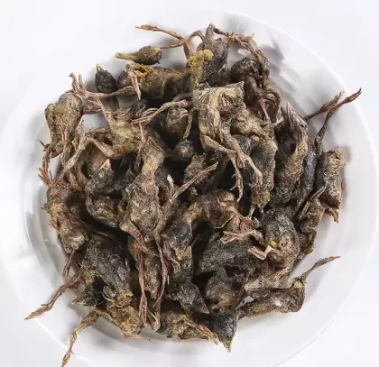 Wholesale Pet Cats Snacks Freeze Dried Quail