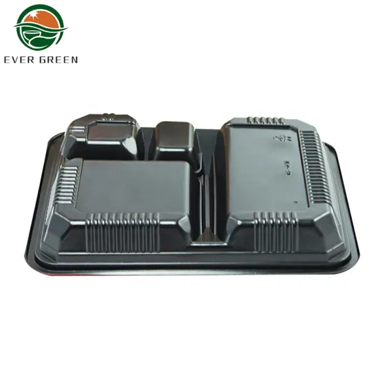 Eco Friendly Recyclable PP Disposable Bento Lunch Box