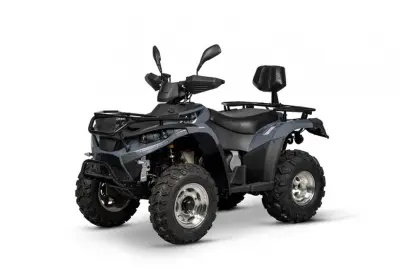 workhorse atv 300 cc
