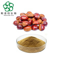 Instant Chestnut Extract Powder Horse Chestnut Extract