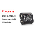 CR P2 6V Gruppo litio batteria