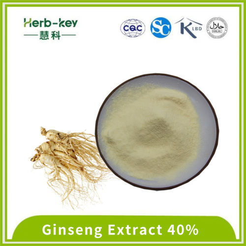 Herbal Medicine Anti-fatigue ginsenoside ginseng extract powder Manufactory