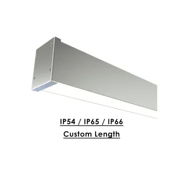 Modern AC220V IP65/IP66 Outdoor Ceiling Light for Gardens and Porches