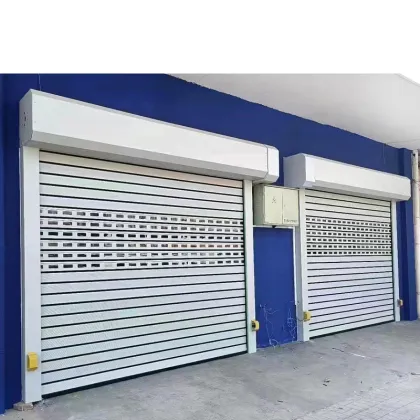 Rosa Wholesale: High-Speed Industrial Shutter Doors - Hard Panels for Fast Access