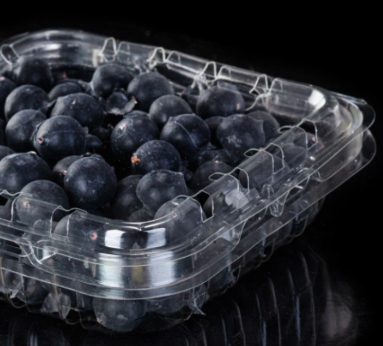 Transparent Plastic Blueberry Container