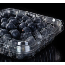 Transparent Plastic Blueberry Container