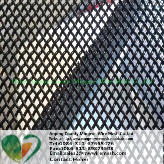 stainless steel window screen for security/ wire mesh/ stainless steel wire net