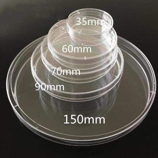 Disposable PS Sterile Petri Dishes 120X15mm