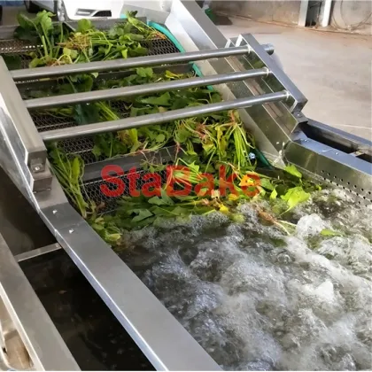 Ozone Vegetable Washing Machine Air Bubble Vegetable Cleaning Machine