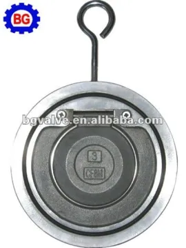 SS Wafer Swing Check Valve