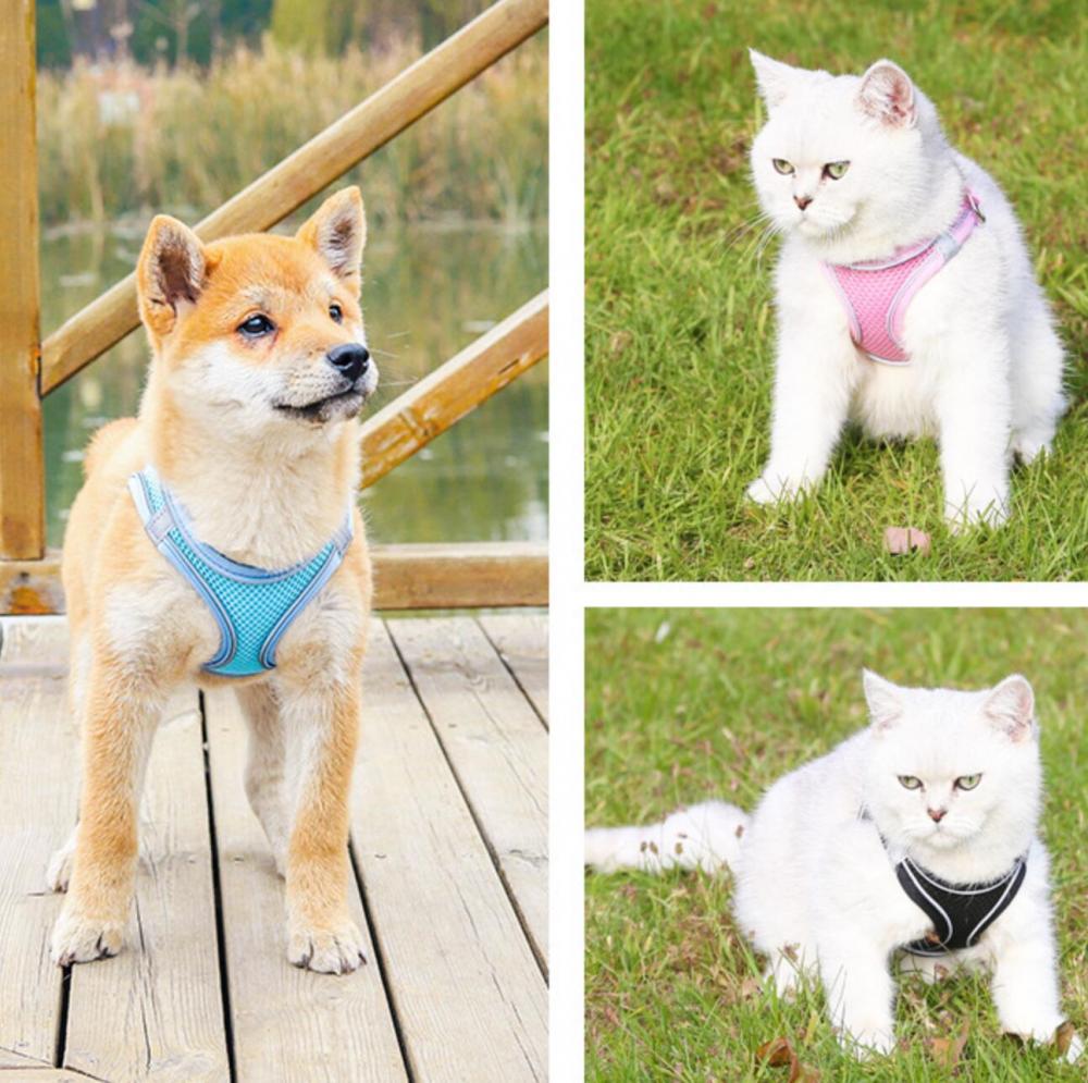 Soft Dog Harness,Custom Dog Harness Factory