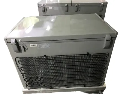 LG Gas Household Single Door Deep Freezer with Lock