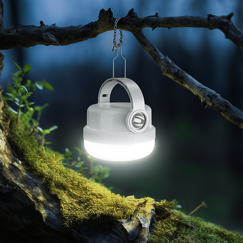 Portable Cordless Charging Led Emergency Bulb Rechargeable Bulb Light-7824-7