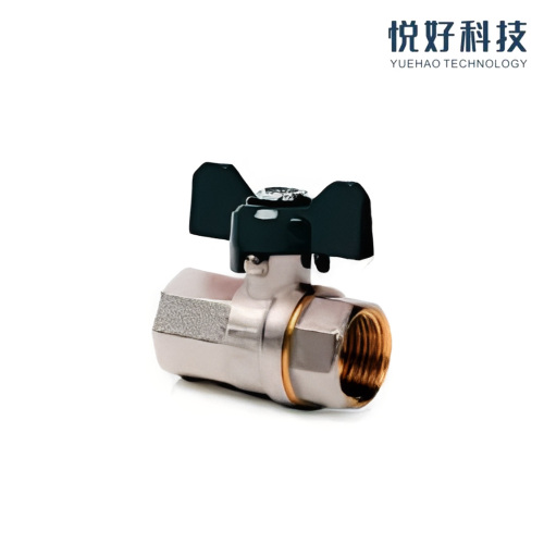 Connessione F/F valvola a farfalla in ottone