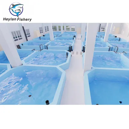 Customized Ras Shrimp Farming: Recirculating Aquaculture Systems (RAS)