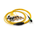 สายแพทช์ไฟเบอร์ MPO-FC 12F