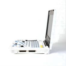 Сіямскі котка ўльтрагукавое дыягнастычнае абсталяванне для яечнікаў