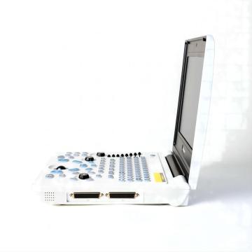 Сіямскі котка ўльтрагукавое дыягнастычнае абсталяванне для яечнікаў