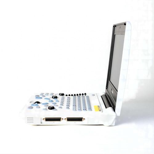 Сіямскі котка ўльтрагукавое дыягнастычнае абсталяванне для яечнікаў