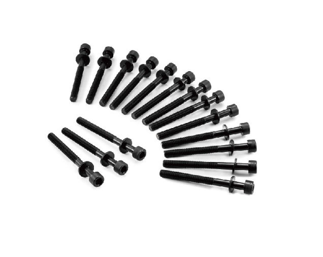 81016900 BOLT CYLINDER HEAD