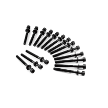 81016900 головка цилиндра болта