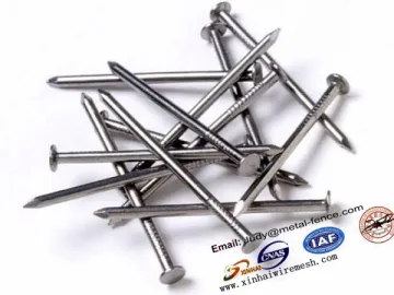 high quality common wire nail, common nail