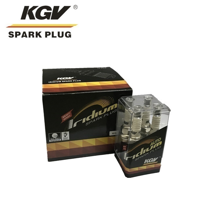 Auto Iridium Spark Plug EIX-BKR6-11 for BYD S8