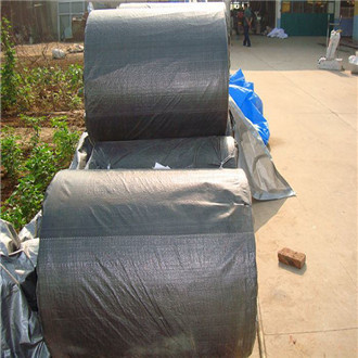 10*10 Black PP Weed Mat for Inhibite Weed Growth Made in China
