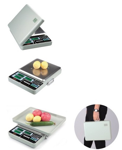 Multifunctional Price Computing, Counting Scale, Hand-Held Price Scale a-826