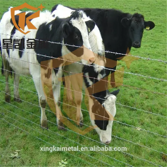 cattle mesh fence hot dipped galvanized field fence