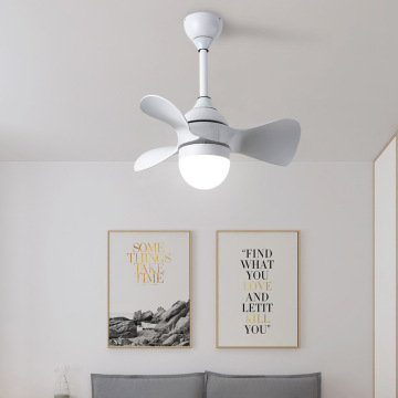 LEDER Contemporary Ceiling Fans With Lights