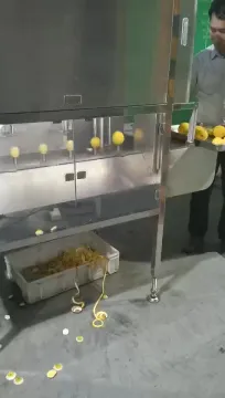 2019 new automatic lemon peeling machine lemon processing machine