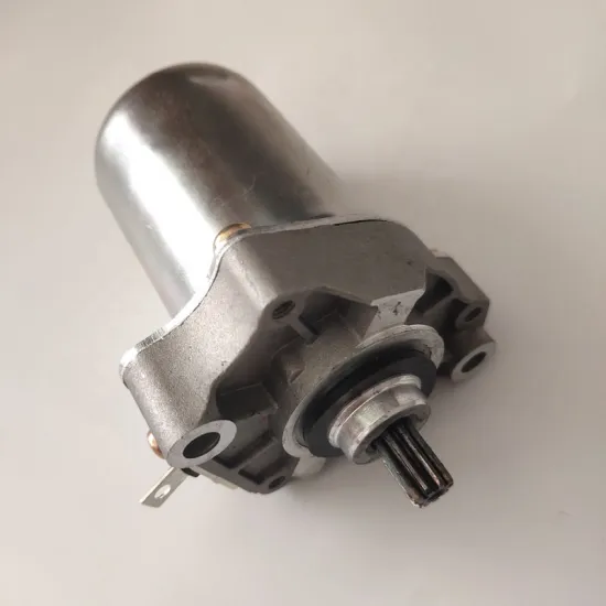 Starter Motor Parts for Honda LEAD 90/100 and PEUGEOT 100