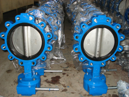 Concentric Lug Butterfly Valve