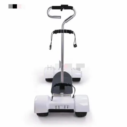 HOWTRUE GOLF ELECTRIC SCOOTER
