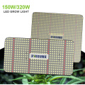 Piante idroponiche da 320W 600W 1000W LED LED