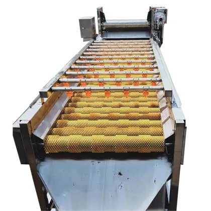 Automatic Vegetable and Fruit Peeling and Washing Machine