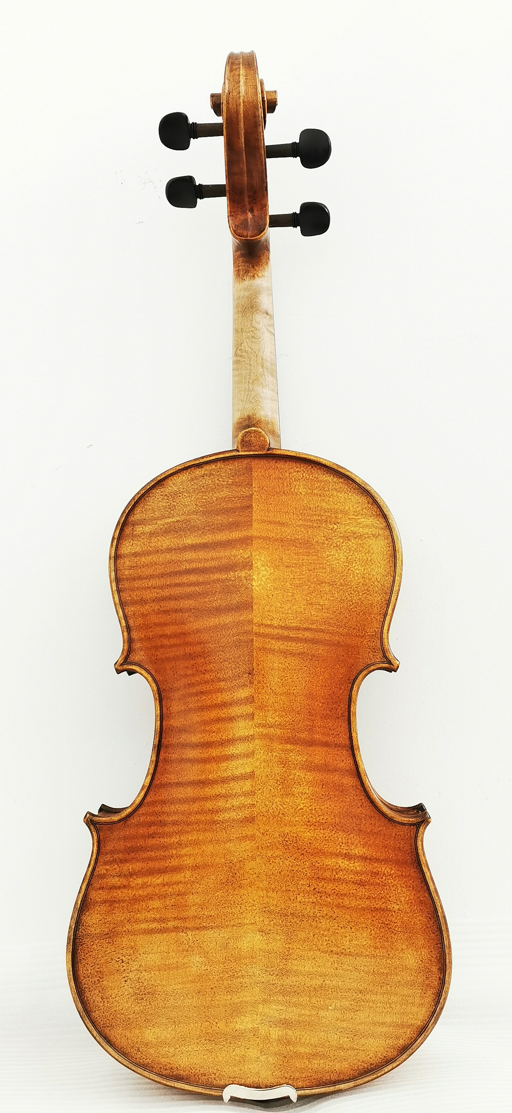 Viola5-2