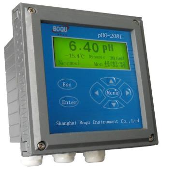 Industrial Online pH Meter (PHG-2081)