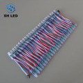 WS2811 12MM Full Color Led Pixel Light String