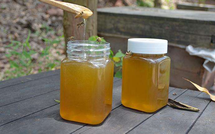 organic vitex honey