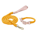 pet leashes+ collar 3