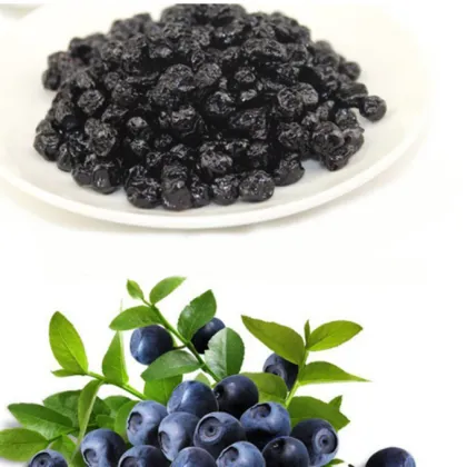 HACCP Foods Eye Protection DRIED BLUE BERRIES