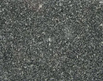 Snow Black Granite