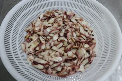 Frozen boiled octopus slice