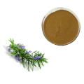 Rosemary Herb Extract Powder 3% Rosmarinic Acid 98%