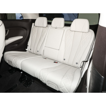 Denza D9 Ev Range 600km Electric Mpv Car