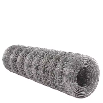 Galvanized Welded Wire Mesh for household