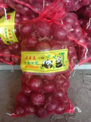 Health Foods for Fresh Onion Red